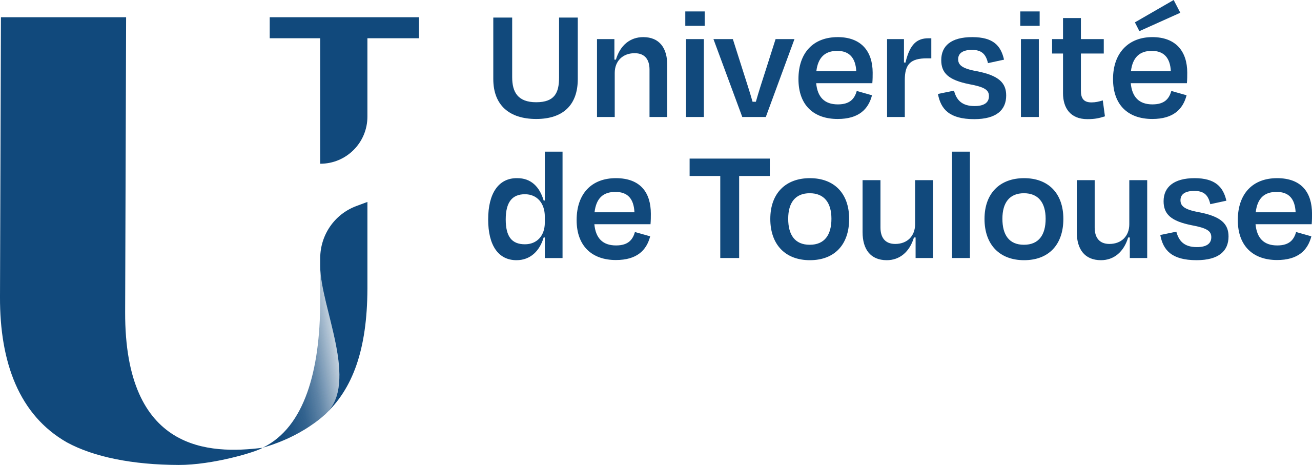 Toulouse University Logo